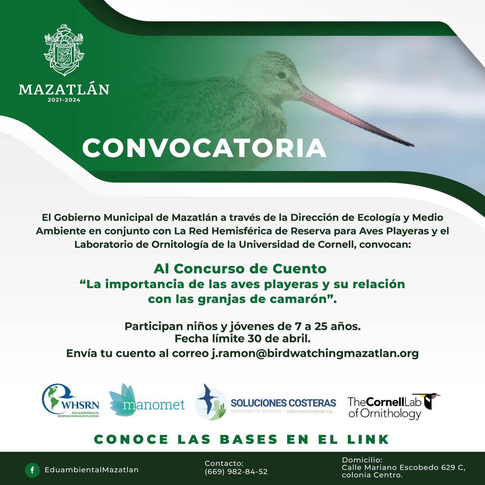 Participa en el concurso de cuento sobre la importancia de las aves playeras
