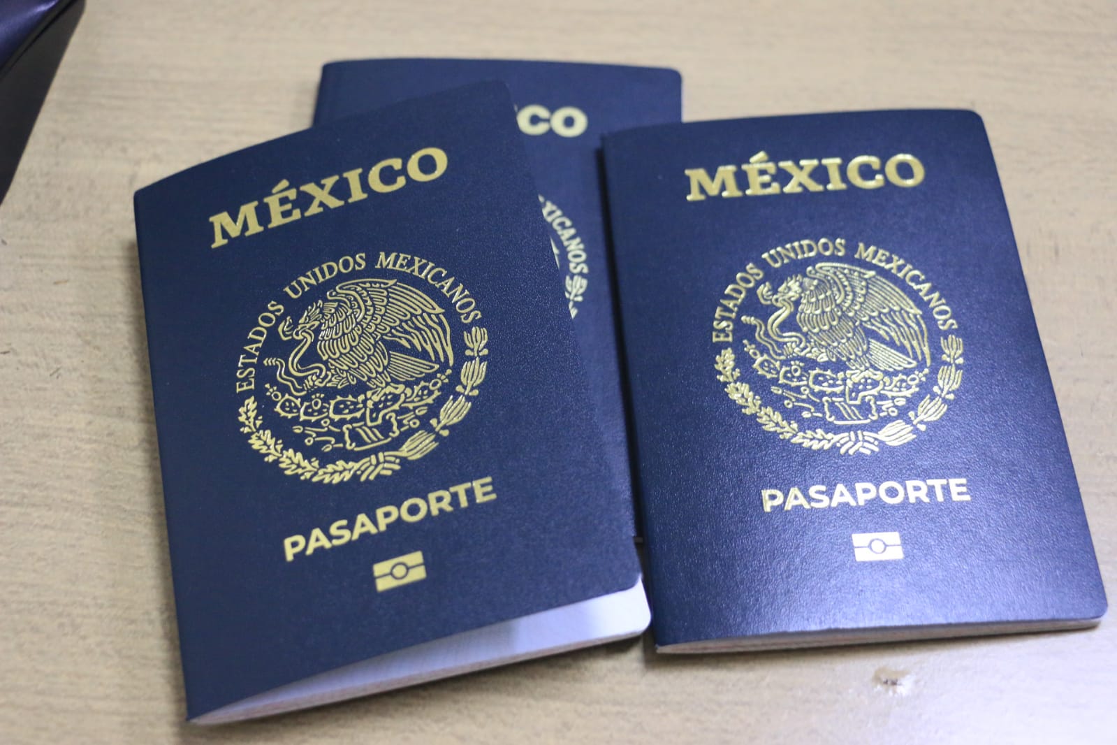 Por vacaciones de Verano incrementa a un 10 por ciento las citas para tramitar el pasaporte.