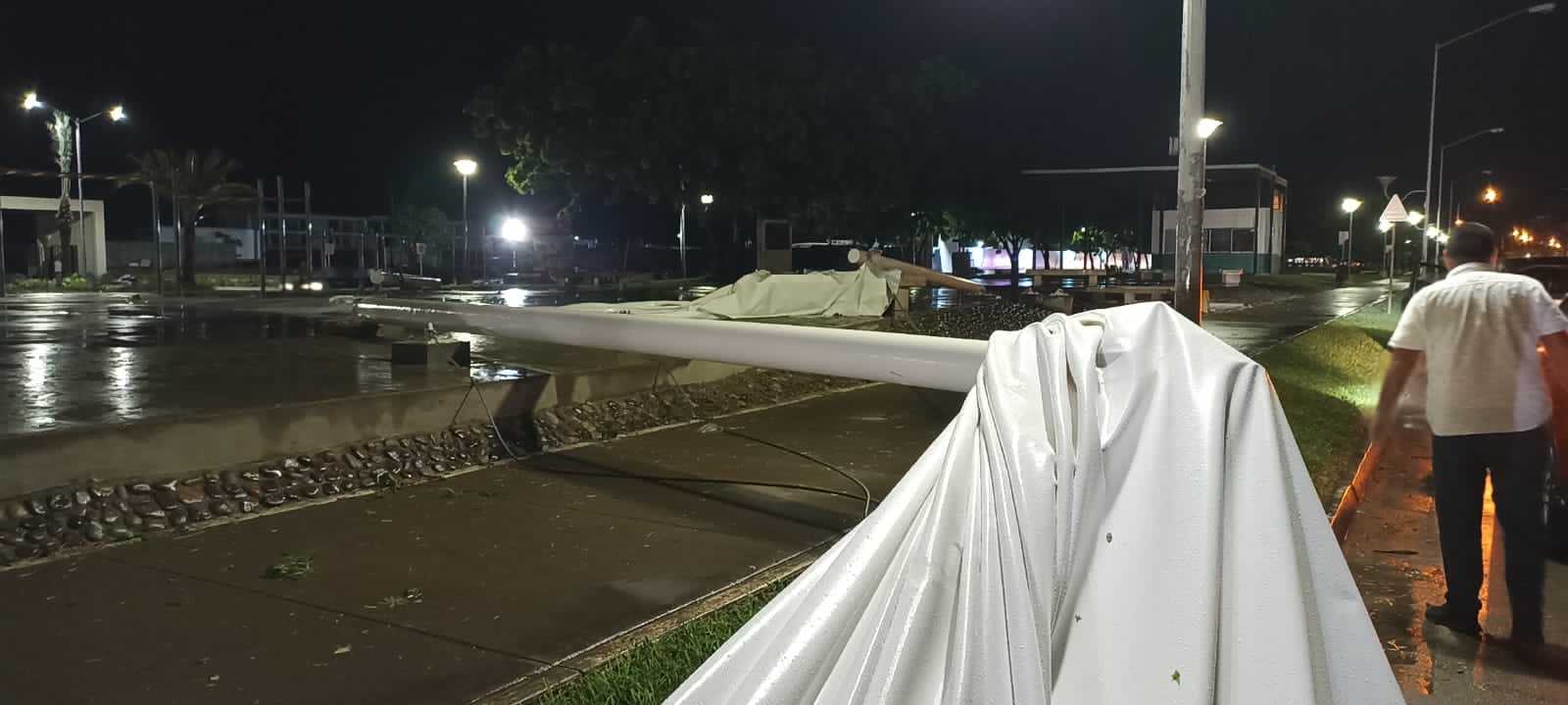 Lluvia y viento dejan algunos daños y árboles derribados en la ciudad.