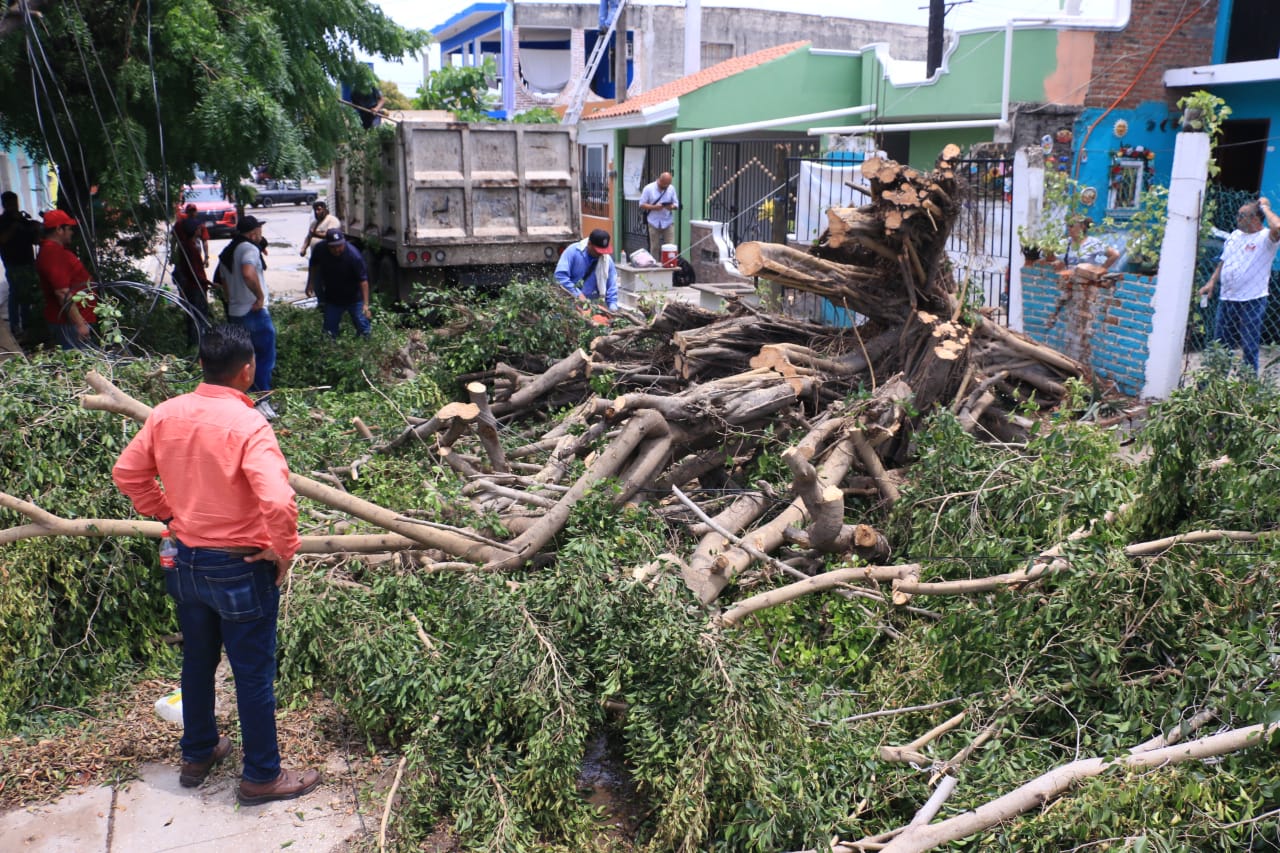 Parques y jardines realizó intenso trabajo durante el fin de semana luego de las lluvias.