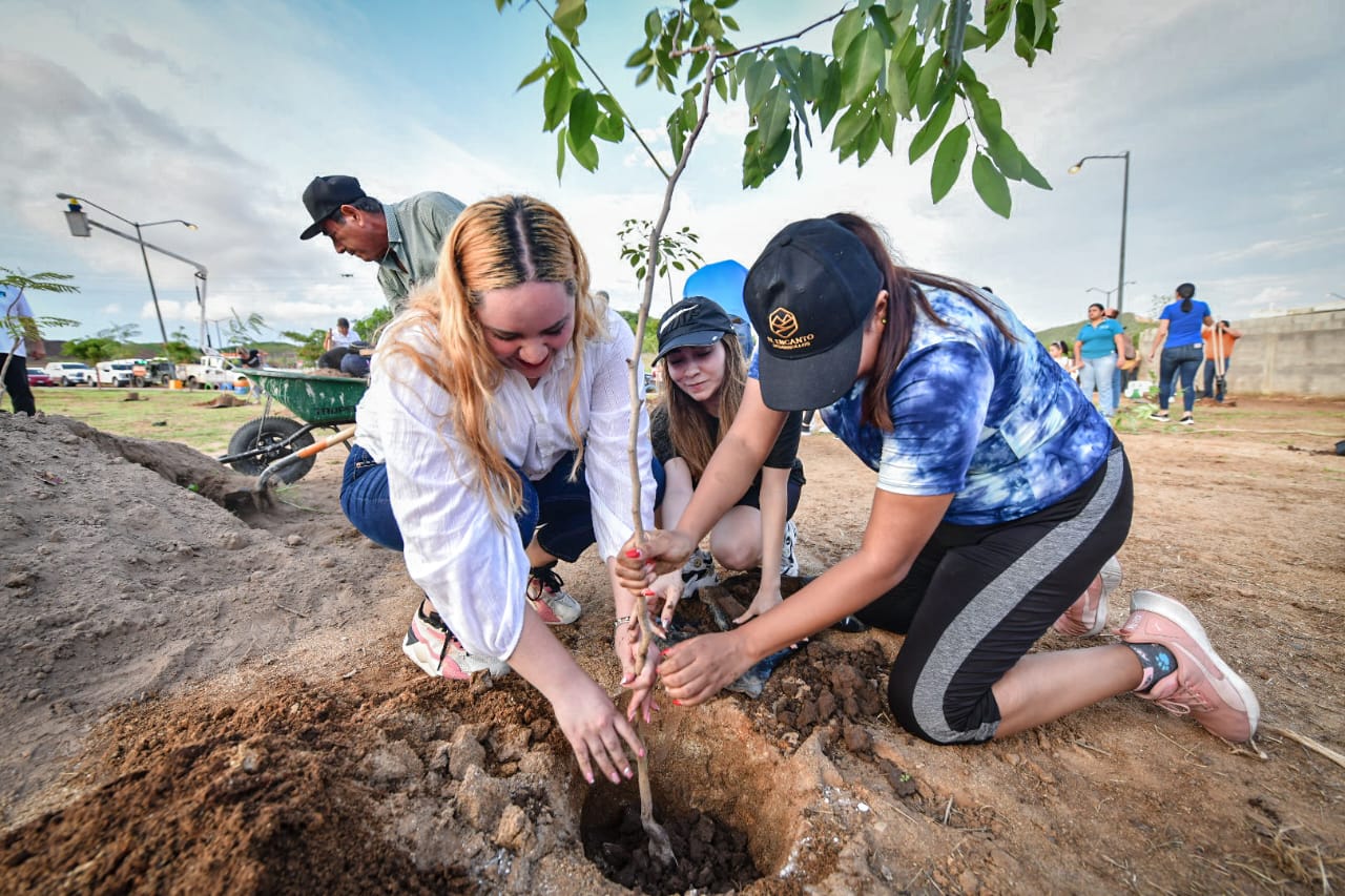 ¡Pulmones para Mazatlán! Gobierno Municipal inicia reforestación de 400 espacios.
