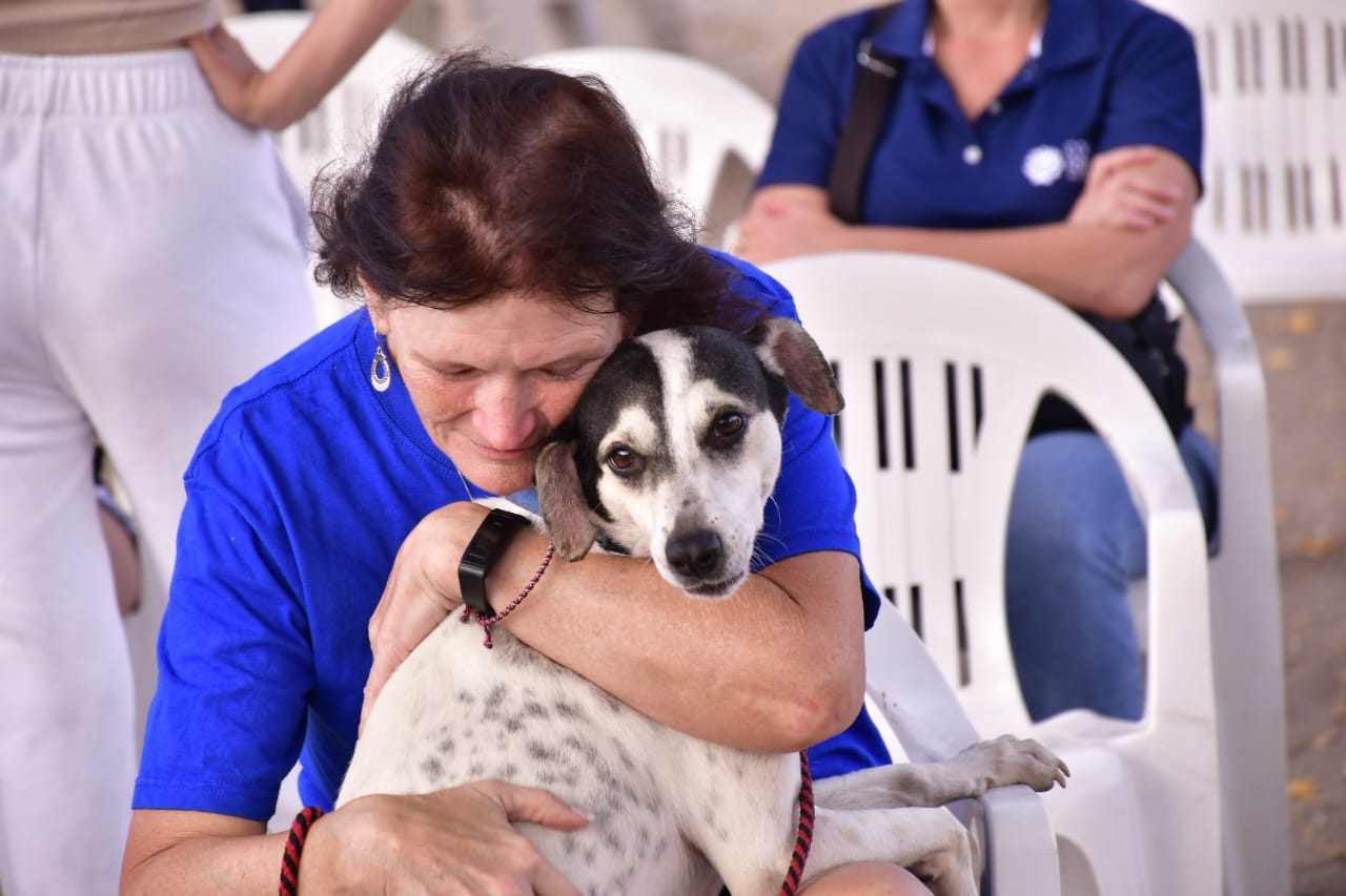 Gobierno de Mazatlán denuncia ante Ministerio Público casos de crueldad animal.