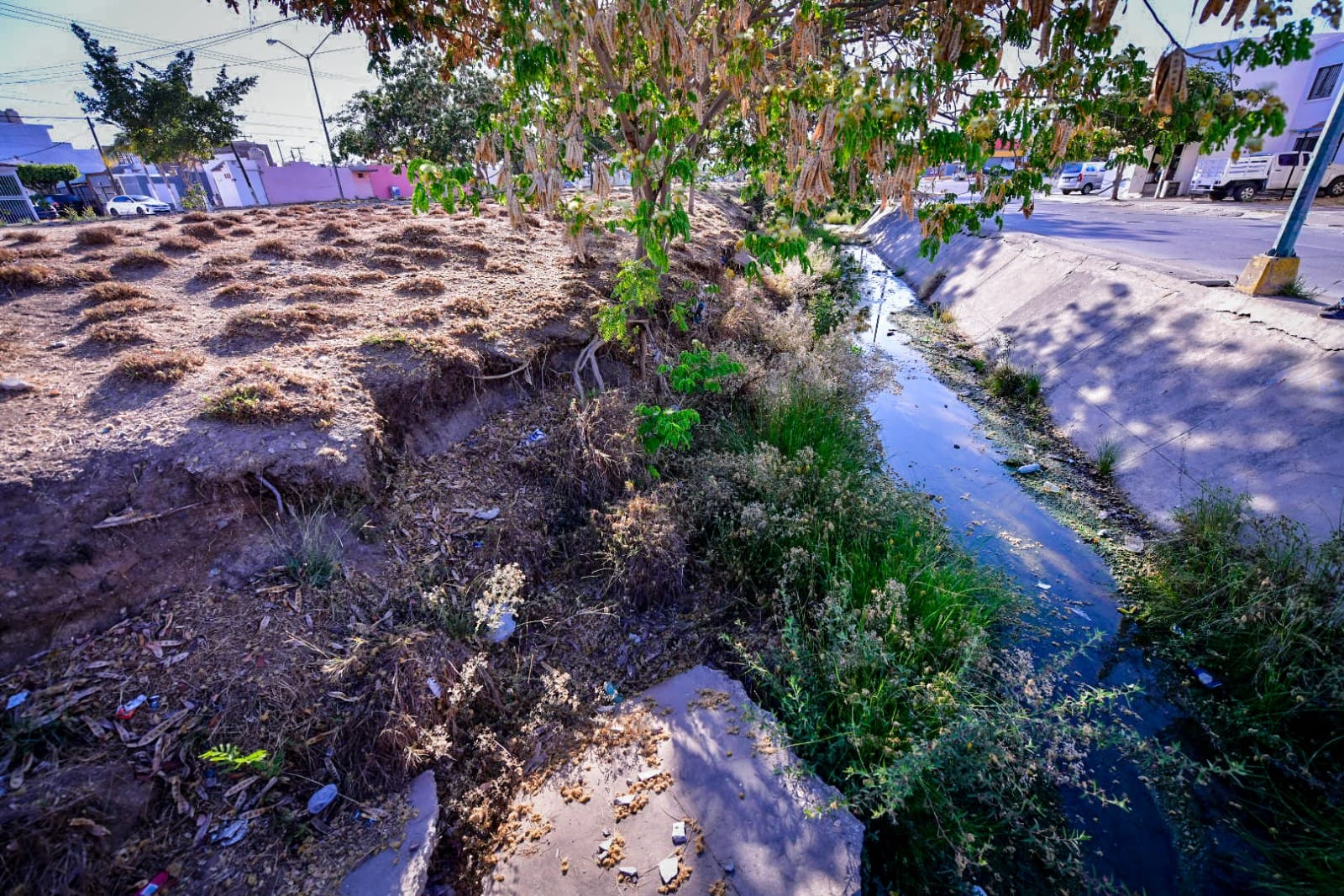 Inician reparación de losas cuarteadas y limpieza del canal que corre en Avenida Las Torres Mar de Cortés y Valle Dorado.