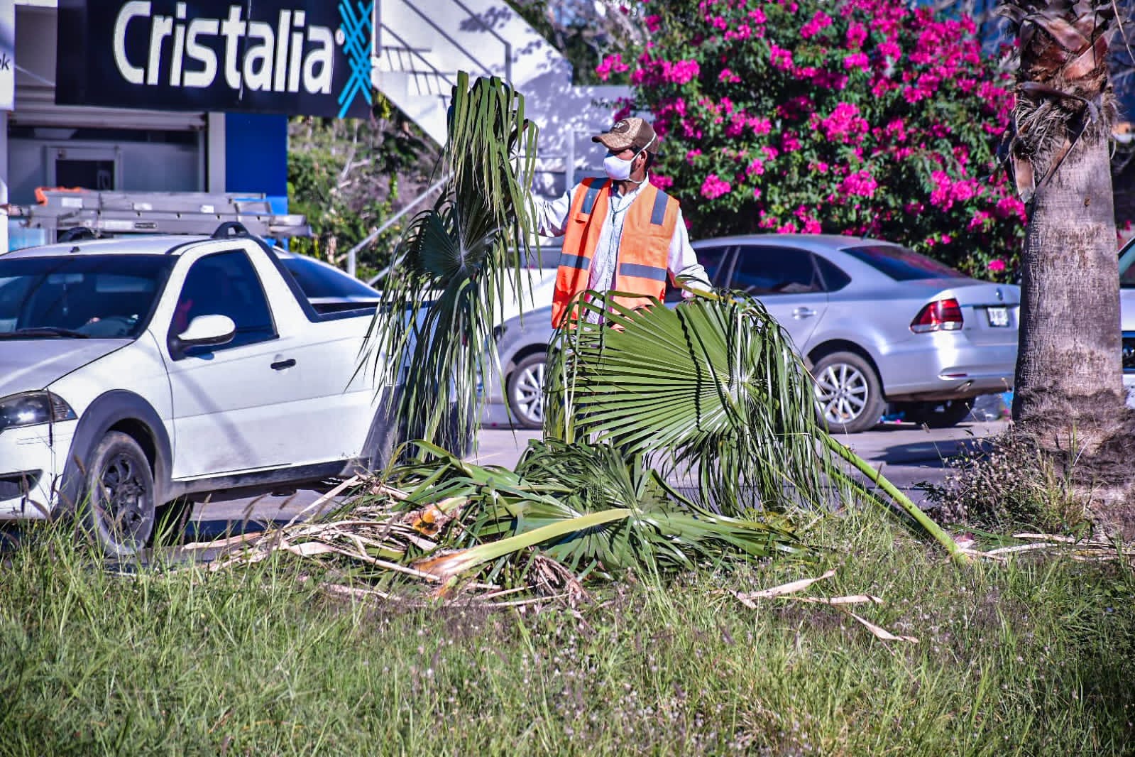 Recibe avenida Carlos Canseco trabajos de embellecimiento.