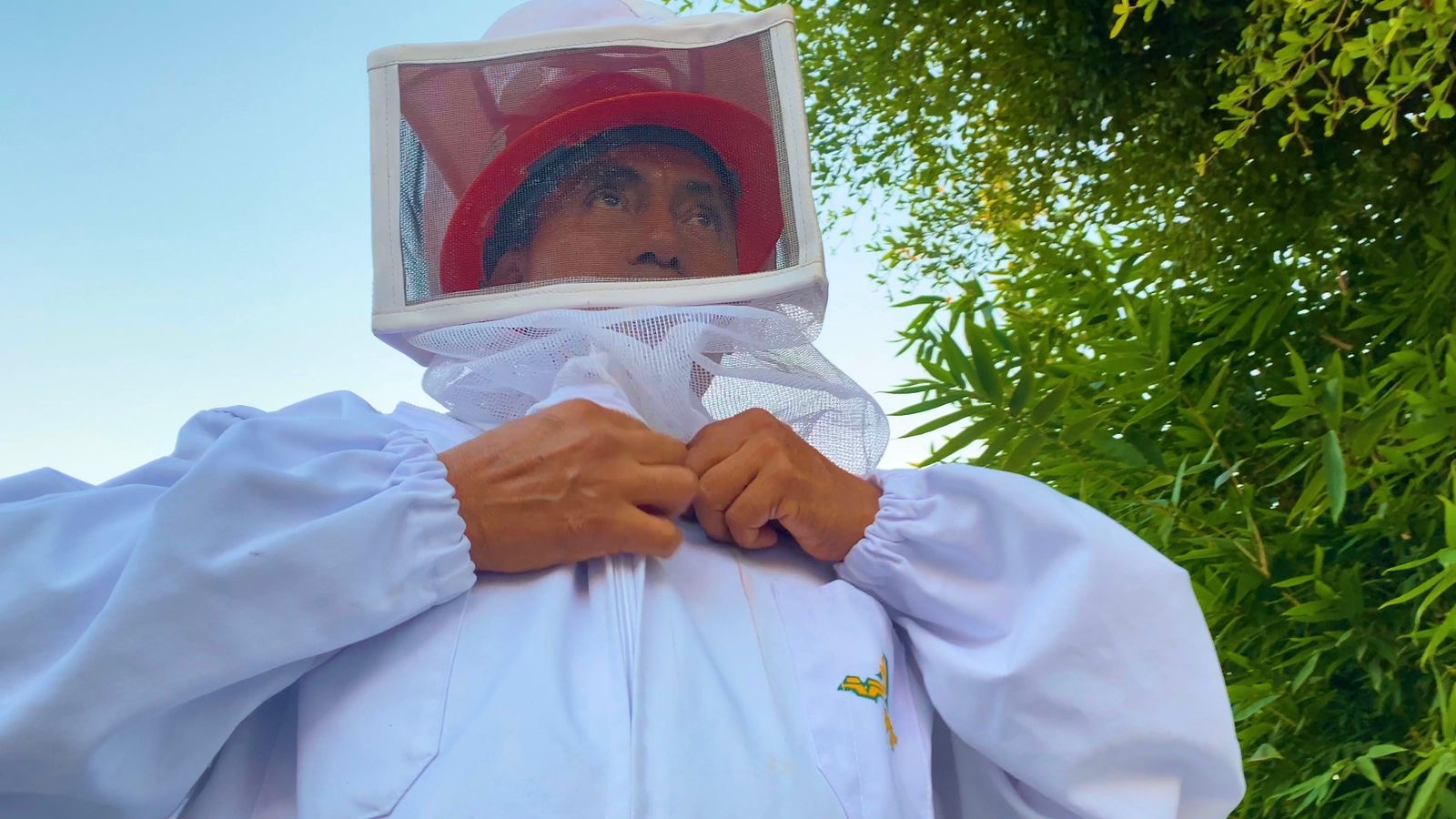 Es Mazatlán el primer municipio de Sinaloa en tener un Protocolo de rescate y protección de abejas y avispas.